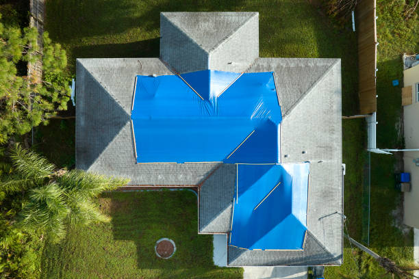 Best Roof Insulation Installation  in Bazon, CA
