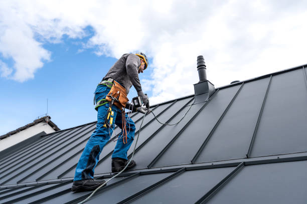 Best Skylight Installation and Repair  in Bazon, CA